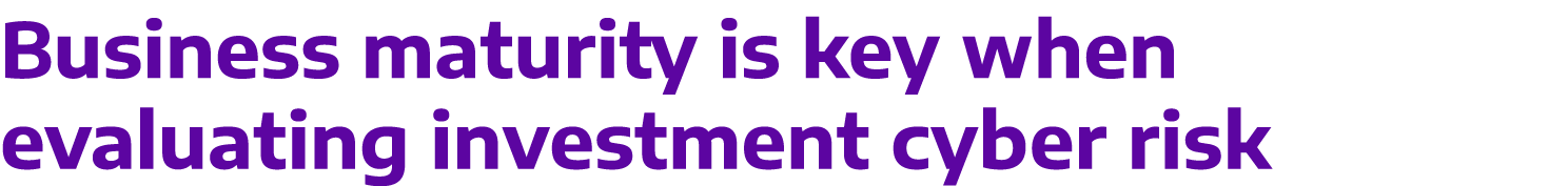 Business maturity is key when evaluating investment cyber risk