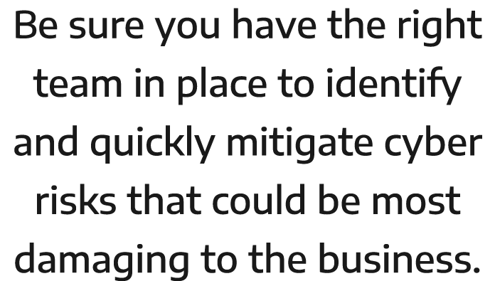 Be sure you have the right team in place to identify and quickly mitigate cyber risks that could be most damaging to    