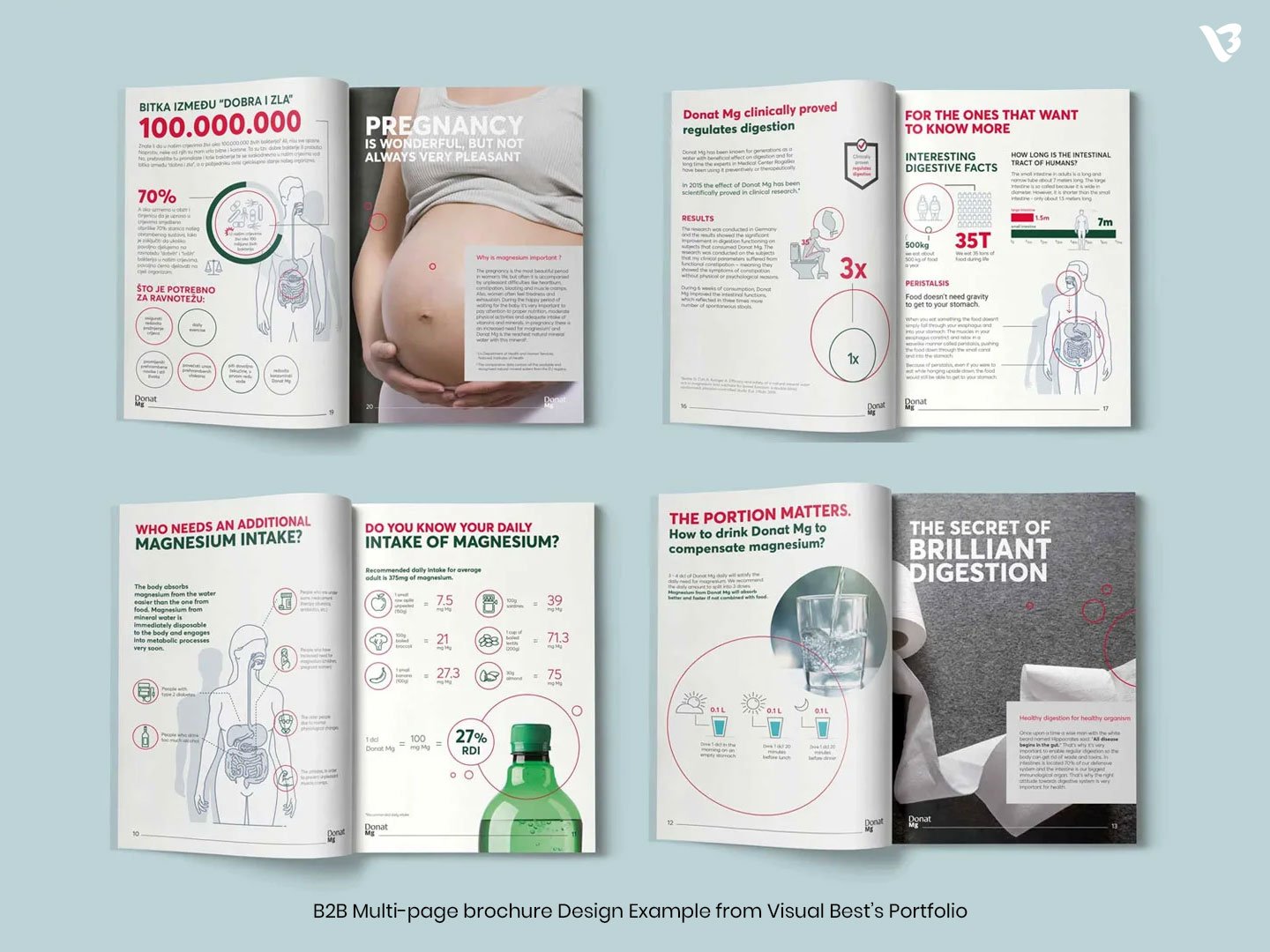 b2b multi page brochure design example